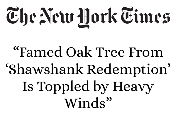 New York Times: Oak Tree Toppled